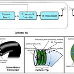 Advanced Endoscopic Cancer Detection Using Hyperspectral Imaging